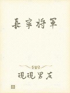 长宁将军封面