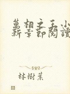 万相之王小说最新章节阅读全文