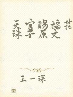 天官赐福花怜塞珠子原文