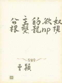 公主的欲奴h四根双龙np视频