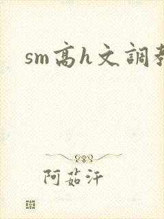 sm高h文调教