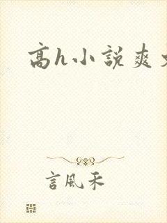 高h小说爽文