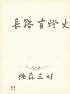 长路有灯火