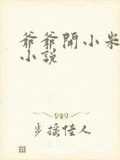 爷爷开小米的包小说封面