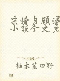 宋惜月顾浔渊的小说全文免费阅读封面