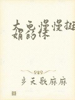 大龟慢慢挺进张娟的休