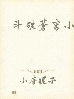 斗破苍穹小说