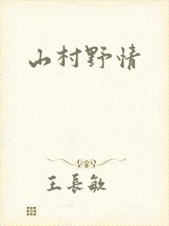 山村野情封面