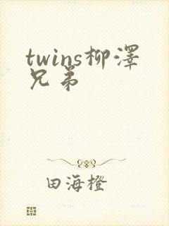 twins柳泽兄弟