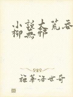 小说大荒吞天诀柳无邪