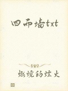 四面墙txt