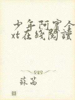 少年阿宾全文txt在线阅读