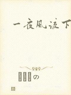 一夜风流下载封面