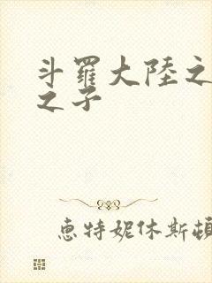 斗罗大陆之七怪之子封面