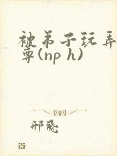 被弟子玩弄的师尊(np h)