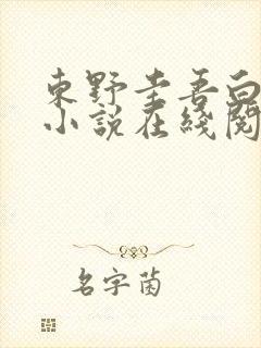 东野圭吾白夜行小说在线阅读