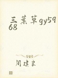 三叶草gy5968封面