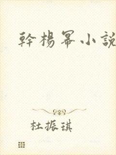 干杨幂小说封面