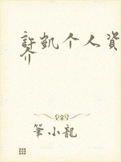 许凯个人资料简介