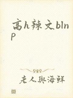 高h辣文blnp