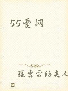55爱网