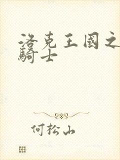 洛克王国之圣龙骑士封面