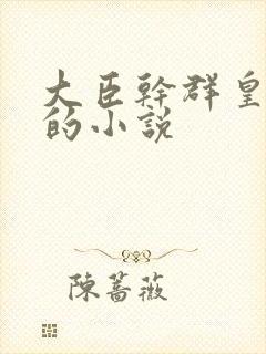 大臣干群皇太后的小说