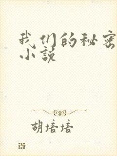 我们的秘密泰剧小说封面