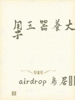 用玉器养大的皇子