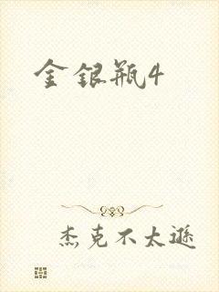 金银瓶4封面