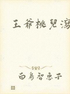 王爷桃儿泻了封面