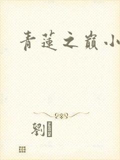 青莲之巅小说封面
