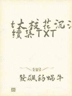 t大校花沉浮录续集TXT封面