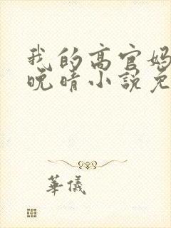 我的高官妈妈苏晚晴小说免费阅读