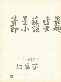 萧晨苏晴最新章节小说笔趣阁