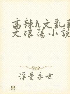 高辣h文乱乳h文浪荡小说封面