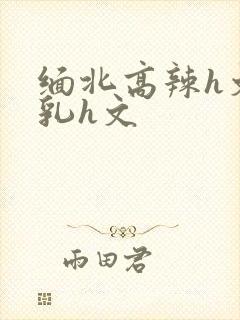 缅北高辣h文乱乳h文