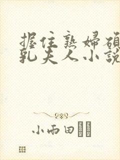 握住熟妇硕大双乳夫人小说封面