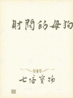 财阀的母狗们封面