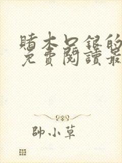 赌木口银的小说免费阅读最新