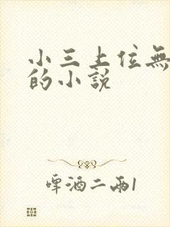 小三上位无三观的小说