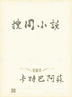 搜同小说