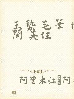 玉势 毛笔 撑开 夹住