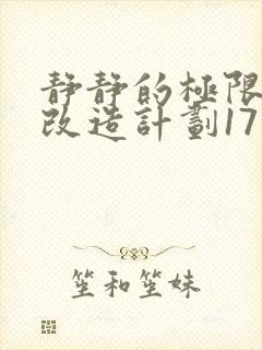 静静的极限自我改造计划17封面