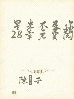 星光不及你深情28章免费阅读全文