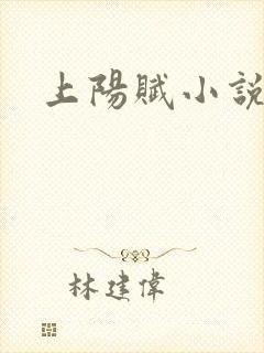 上阳赋小说封面