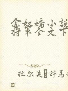 念奴娇小说糙汉将军全文下载