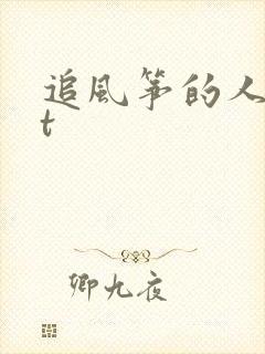 追风筝的人txt封面