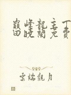 巅峰龙主丁长顺田晓兰免费阅读封面