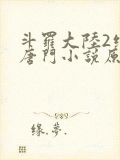 斗罗大陆2绝世唐门小说原版封面